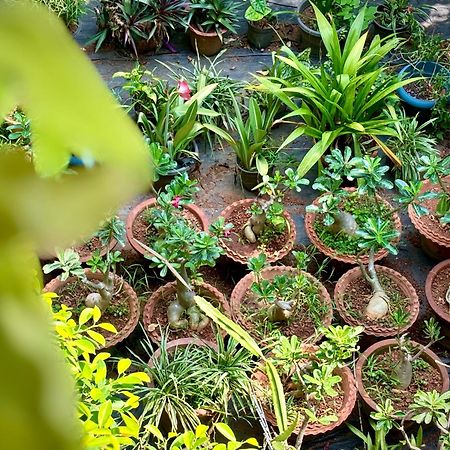 Gloria Homestay ,Thrissur Exterior photo