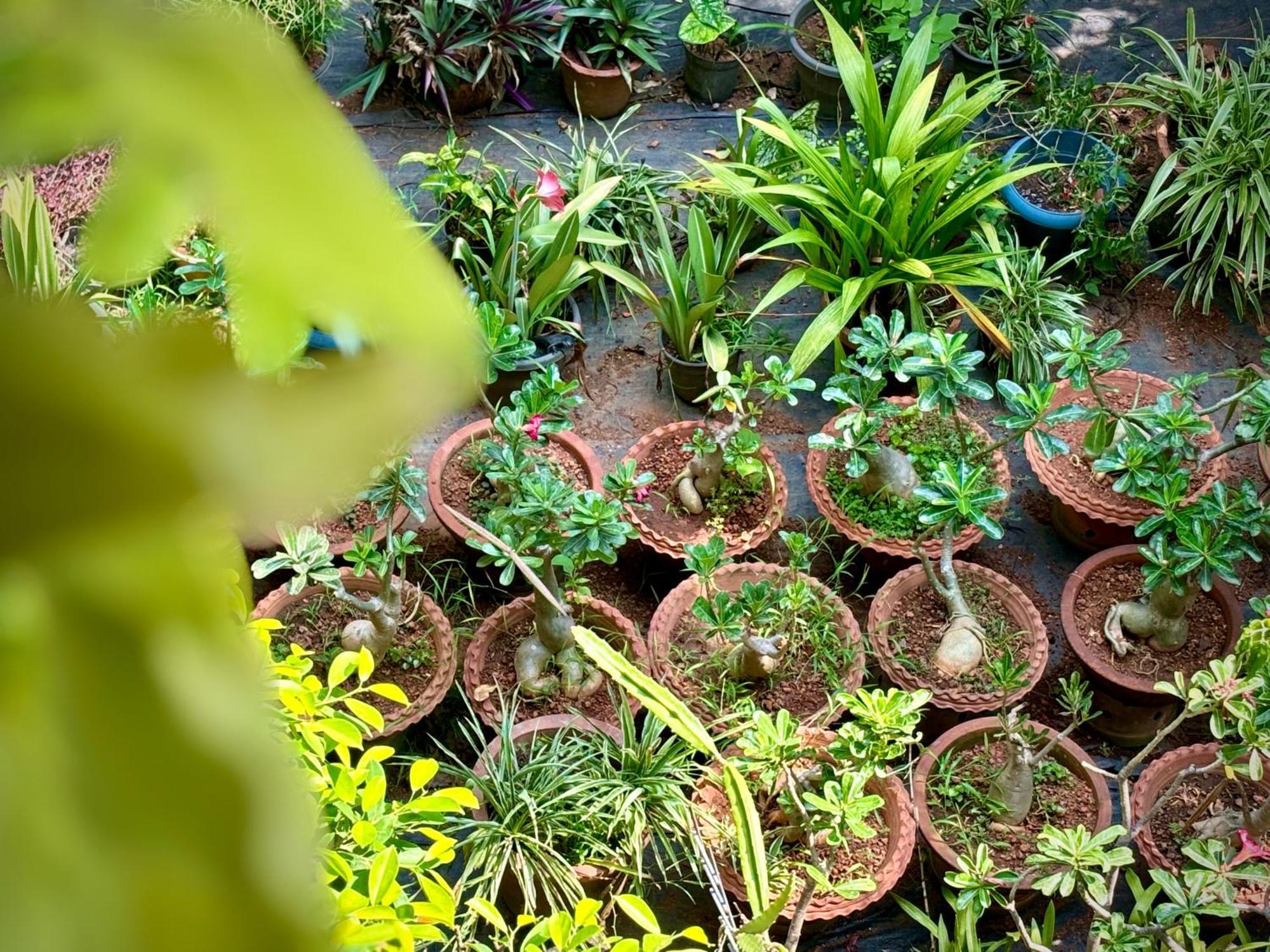 Gloria Homestay ,Thrissur Exterior photo