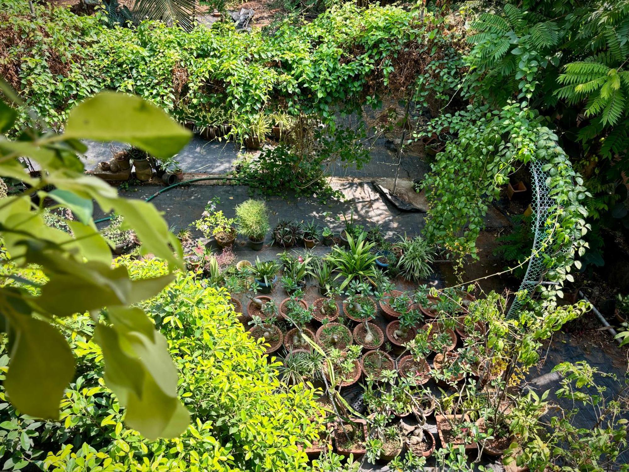 Gloria Homestay ,Thrissur Exterior photo